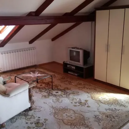 Carolina Tar-Vabriga