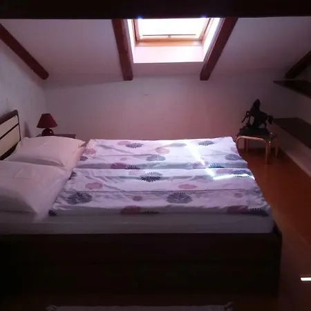 Apartment Carolina Tar-Vabriga