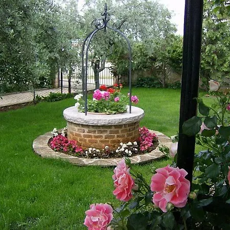 Carolina Apartament *